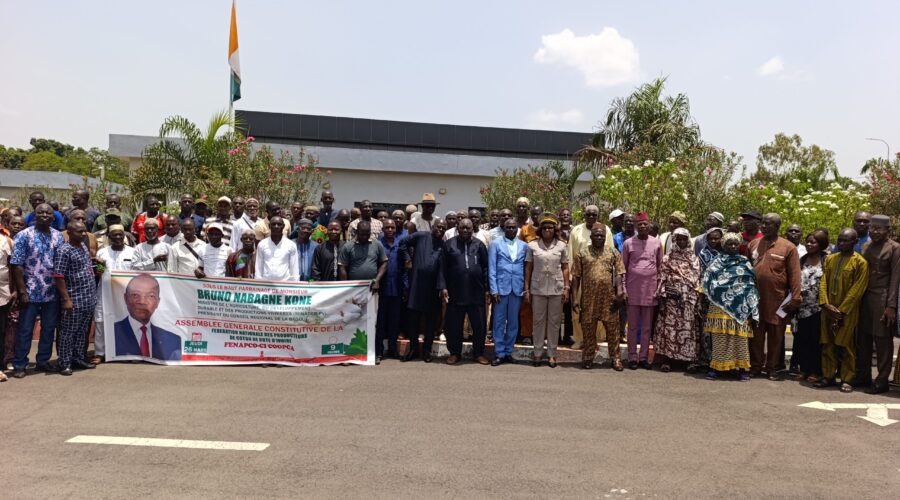 coton-boundiali-scaled